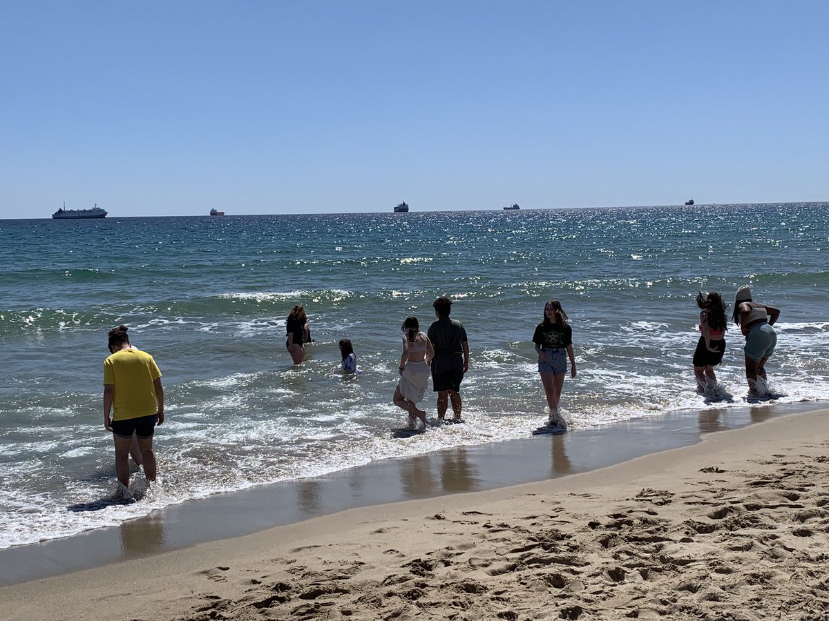 malonelanguages's tweet image. Beach buddies on Tarragona beach🏝️ 😎