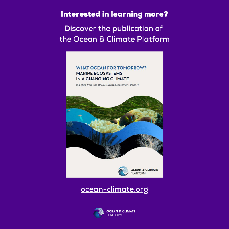 ocean_climate's tweet photo. [#WhatOceanForTomorrow] #FOCUS 🌿#Kelp forests: shelters for marine species, they are key in the production of oxygen, #CO2 capture and ocean #acidification📉

👉 Learn more: https://t.co/2qdzfUX96A