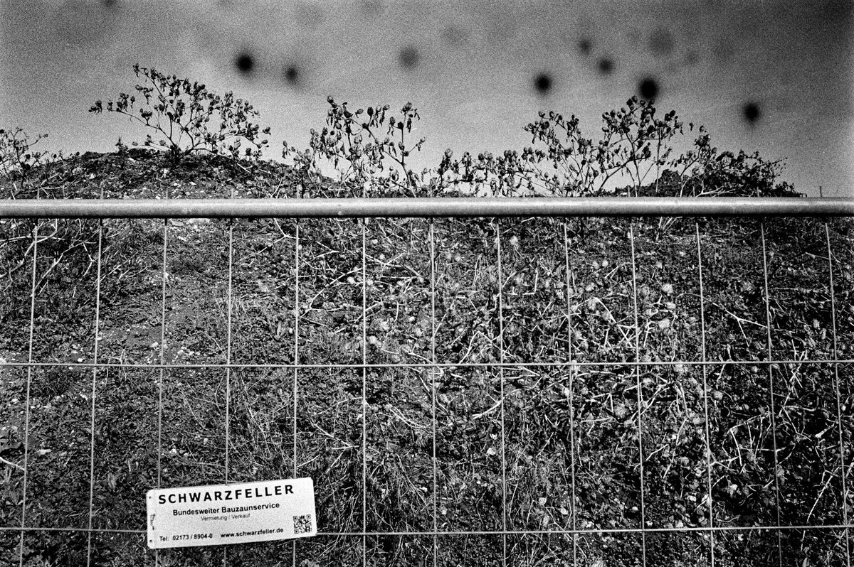 Picture of a construction site fence in HD. Heavy light leak at the top. #photoproject #blackandwhite #blackandwhitephotography #filmphotography #analogphotography #filmisnotdead #istillshootfilm #ilfordhp5 #adoxrodinal #bulkloadedfilm #pushedfilm #streetphotography #35mmfilm