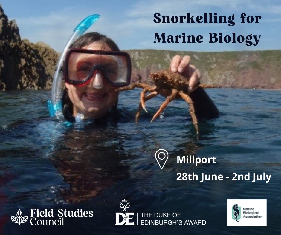 FSC Scotland tweet media