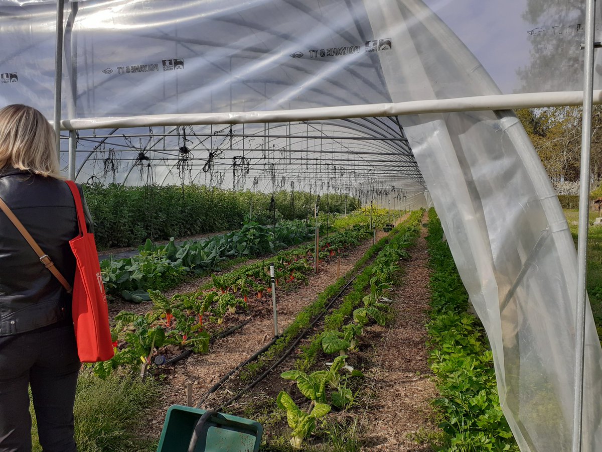 Seb_Felix_PE's tweet photo. Visite des jardins du cœur à St Perdon : une belle initiative d'insertion autour du développement durable, et promoteur d'une alimentation raisonnée https://t.co/MqZXZgVqp6