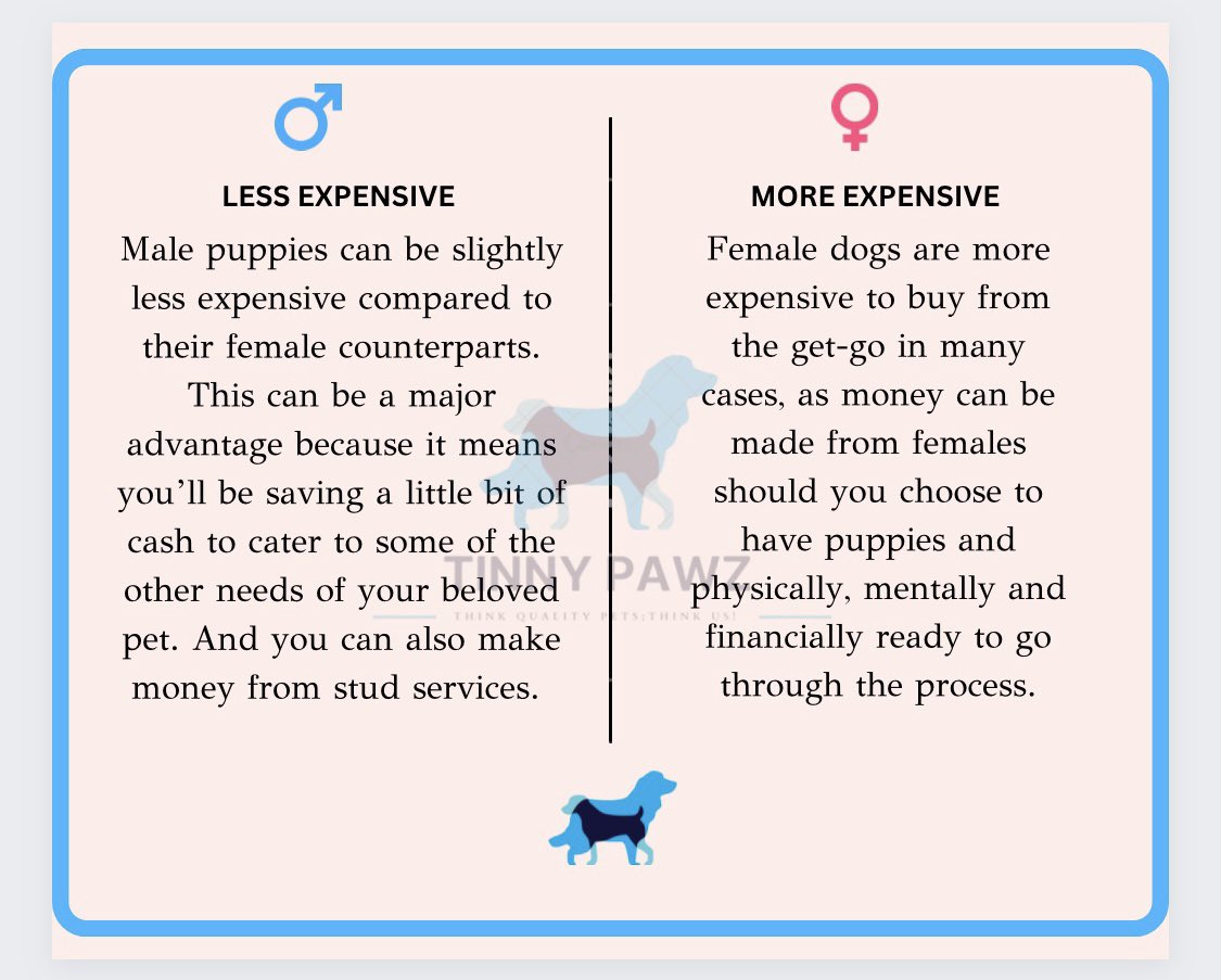 are female puppies more expensive