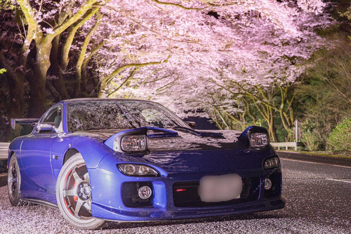 ２日連続で箱根ターンパイクに撮影に行ってました😂✨

桜に癒された~🌸🌸🌸

来年は…来年こそは愛車と桜の撮影するぞ💪

撮影日:4/2