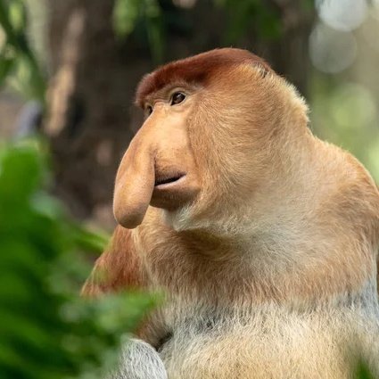 Mike Bird tweet media