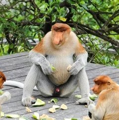 Mike Bird tweet media