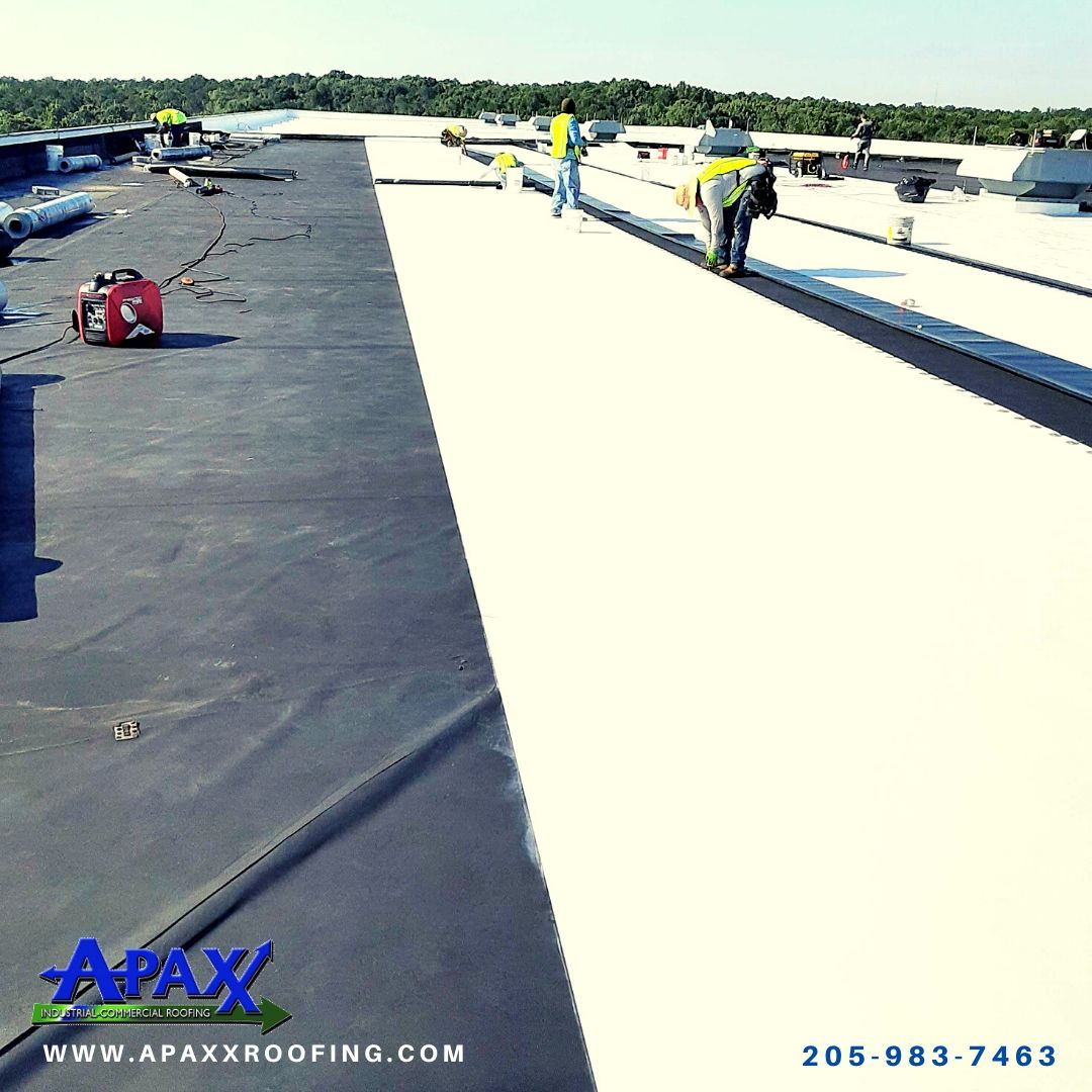 We at #APAXX Roofing believe in the importance of excellent #customerservice. We'll work and lead with honesty, accountability and responsibility. 

Call us. 205-983-7463 
apaxxroofing.com 

#commercialroofers #industrialroofing #commercialroofing