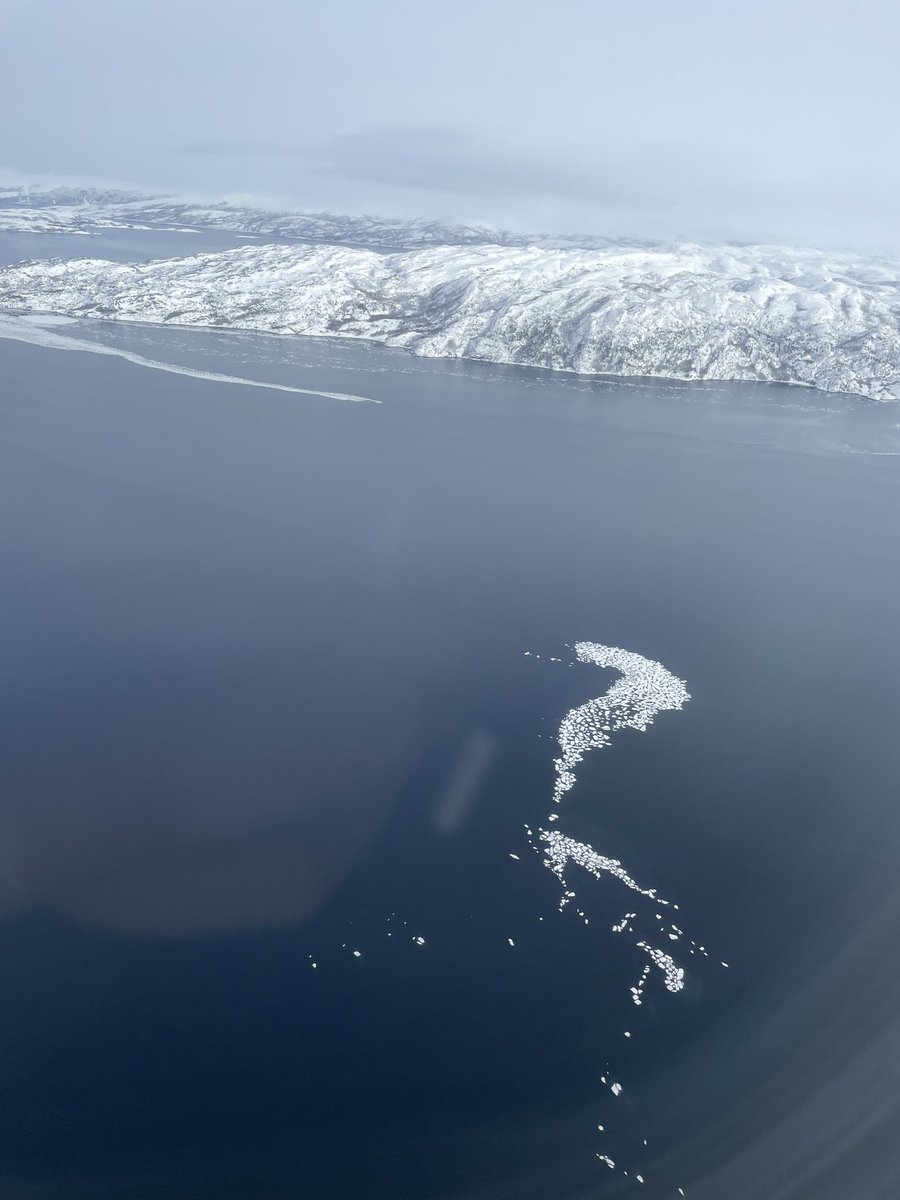 Airport with a view. 

#Finnmark