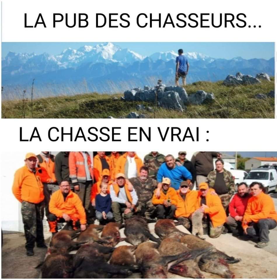 CaccContact's tweet photo. Comme chaque année désormais les chasseurs dépensent des millions d'euros pour nous mentir sur leurs pratiques, sans honte, pas gênés, avec l'argent des nombreuses subventions qui leurs sont accordées par les politiques. Mais ces pubs ne trompent plus personne ! https://t.co/eV8d9cdreX