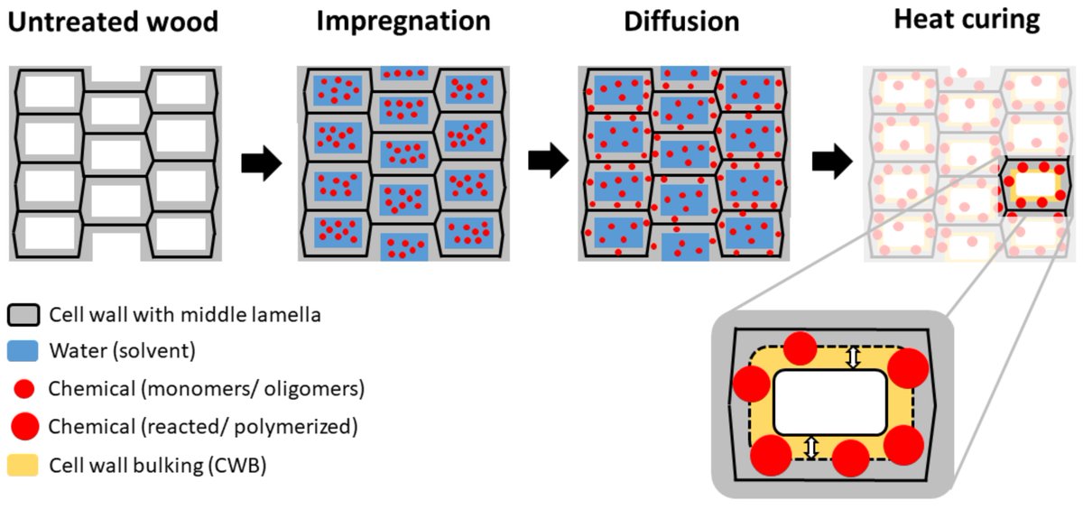 Forests_MDPI's tweet photo. New Series is coming!🎉
🌲#ForestsHighlyAccessedPapers in 2022
#Review of Wood Modification and #wood  Functionalization Technologies", by Sam Zelinka et al. 👈
📚https://t.co/lIebKeWeP3
📌#woodprotection #chemicalmodification #thermalmodification #biodeterioration #materials https://t.co/IxxlQucwVA