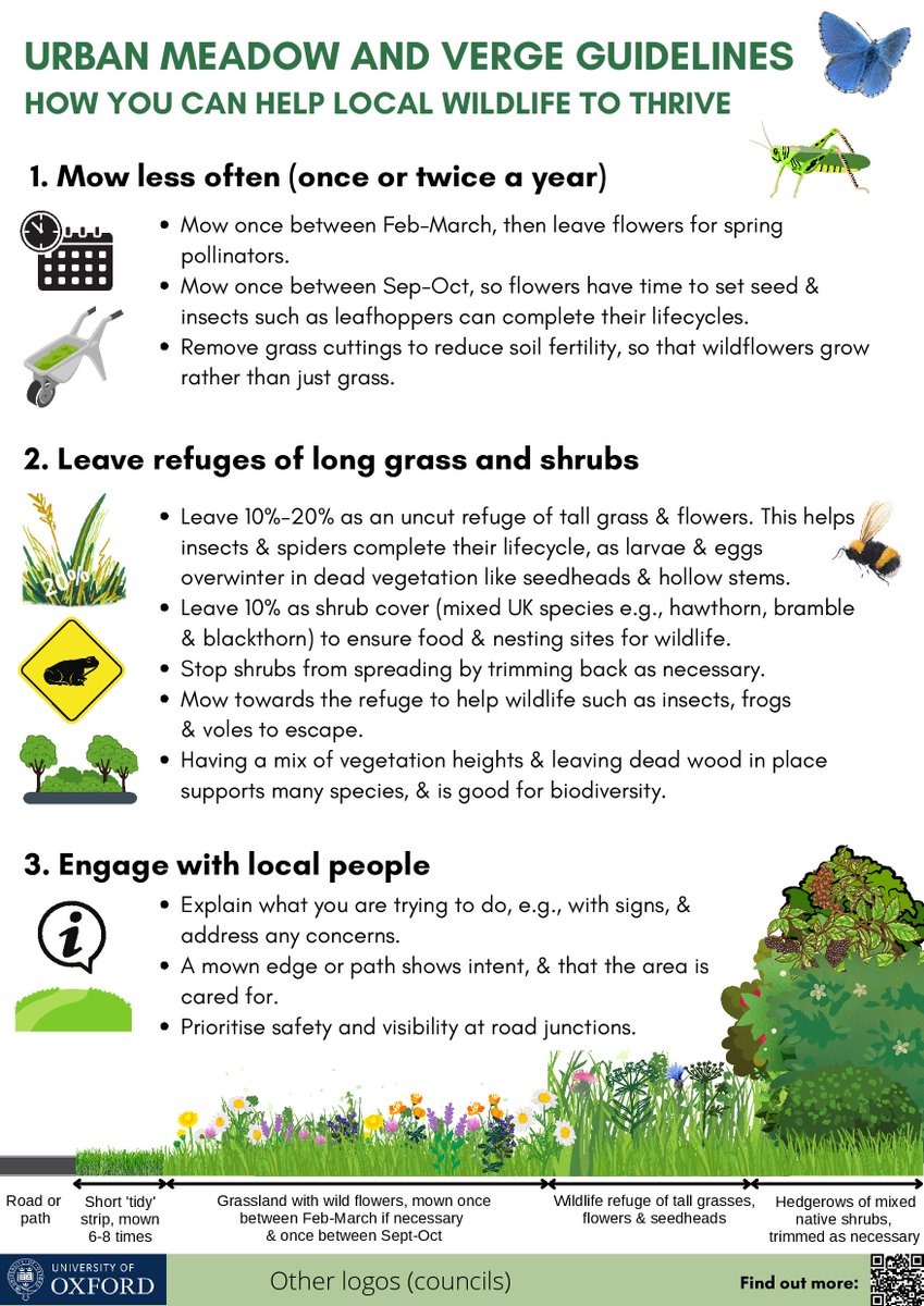 Dr Cecilia Dahlsjö (@cdahlsjo) on Twitter photo I am excited to share our <a href="/BiodivOxford/">Biodiversity Network At The University of Oxford</a> guidelines on how to manage urban grasslands and verges to improve biodiversity. It's a contentious topic but I hope that we have provided enough context to suit a range of circumstances🧵 <a href="/WildOxfordshire/">Wild Oxfordshire</a> <a href="/OxfordshireCC/">Oxfordshire County Council</a> <a href="/morethanadodo/">Oxford University Museum of Natural History</a> I am excited to share our <a href="/BiodivOxford/">Biodiversity Network At The University of Oxford</a> guidelines on how to manage urban grasslands and verges to improve biodiversity. It's a contentious topic but I hope that we have provided enough context to suit a range of circumstances🧵 <a href="/WildOxfordshire/">Wild Oxfordshire</a> <a href="/OxfordshireCC/">Oxfordshire County Council</a> <a href="/morethanadodo/">Oxford University Museum of Natural History</a>