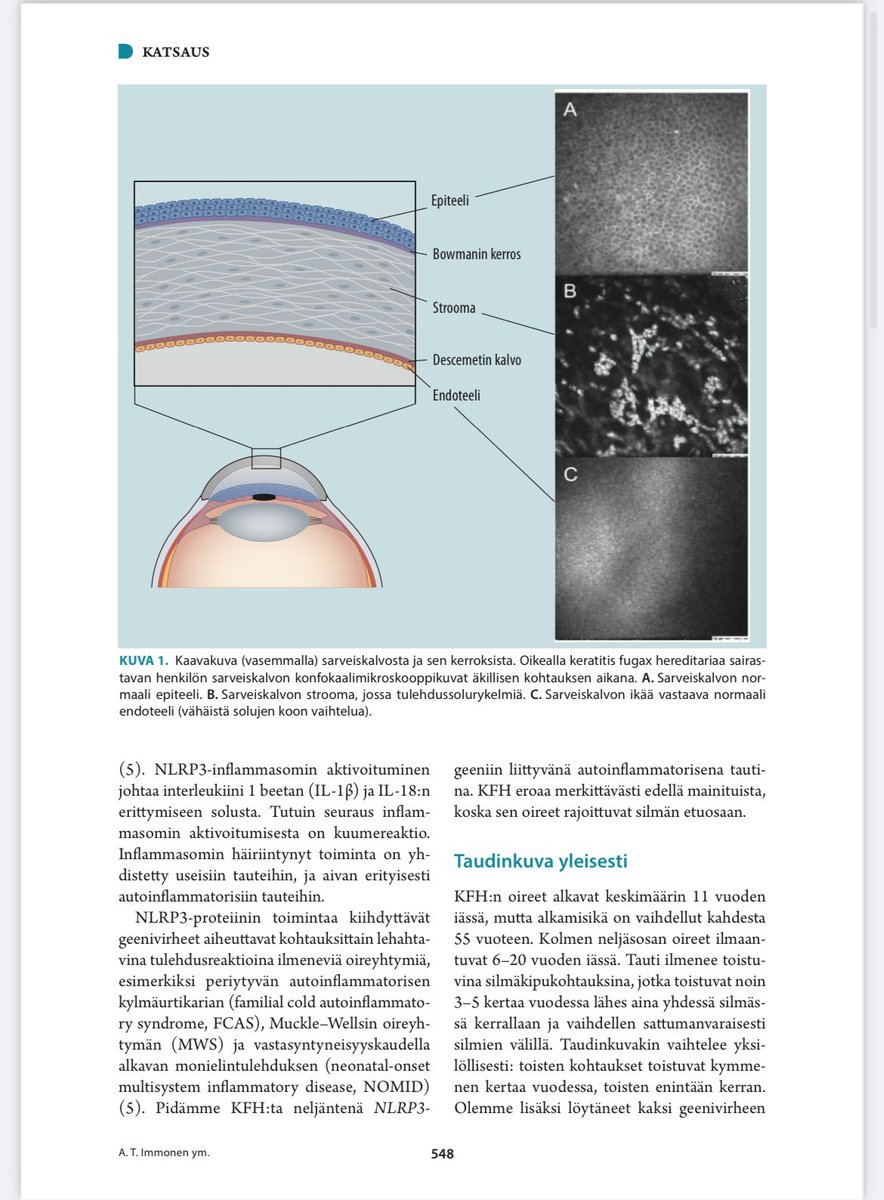 Joni Turunen tweet media
