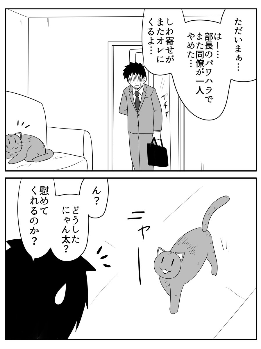 猫と犬 