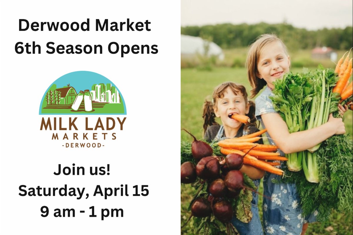 Milk Lady Markets tweet media