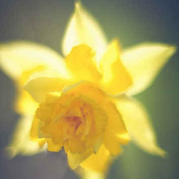 CoKo_Boutique's tweet image. Guten Start in die Osterzeit wünscht sander-ck.de/startseite.html #Wingwave #Coaching