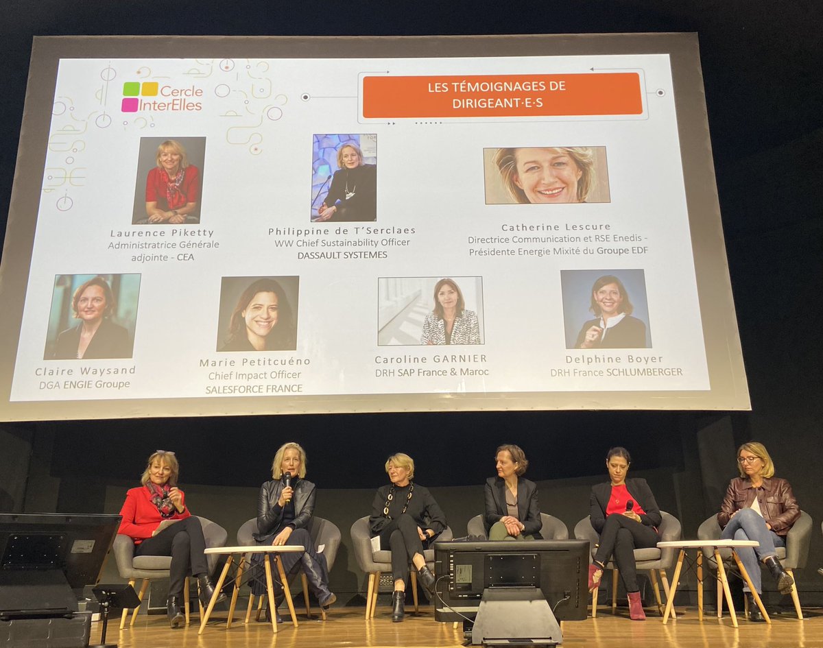3DSCareers's tweet photo. We welcomed Philippine de T’Serclaes, Chief Sustainability Officer, to this round table where she highlighted @Dassault3DS’ commitment to sustainability and diversity! #InterElles @InterElles #WeAre3DS https://t.co/LIgyGVNldV