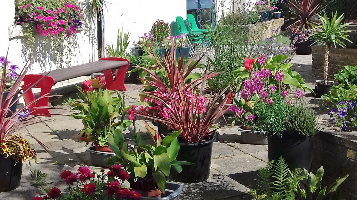 alisonbeach611's tweet image. So another day and more of 2019 best bits.
I was having tremendous fun and getting so much support from many people especially other gardeners.  I made many new friends to whom I am extremely grateful.   #LL2019