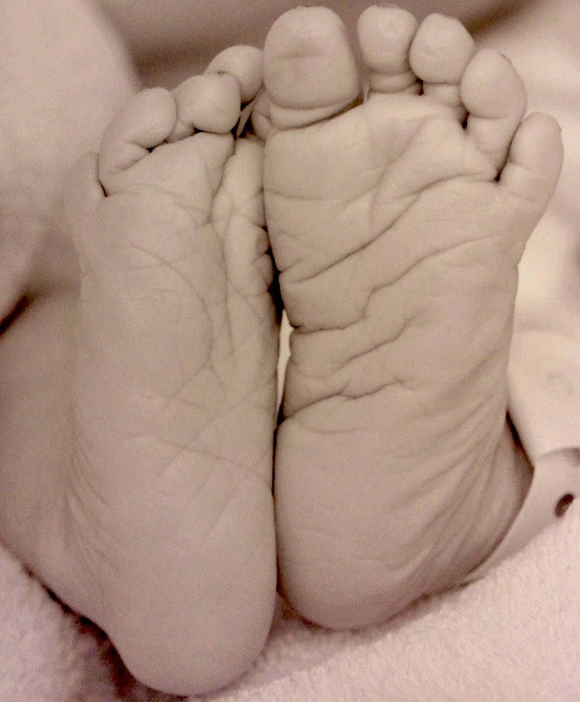 Sarah Hawkins tweet media