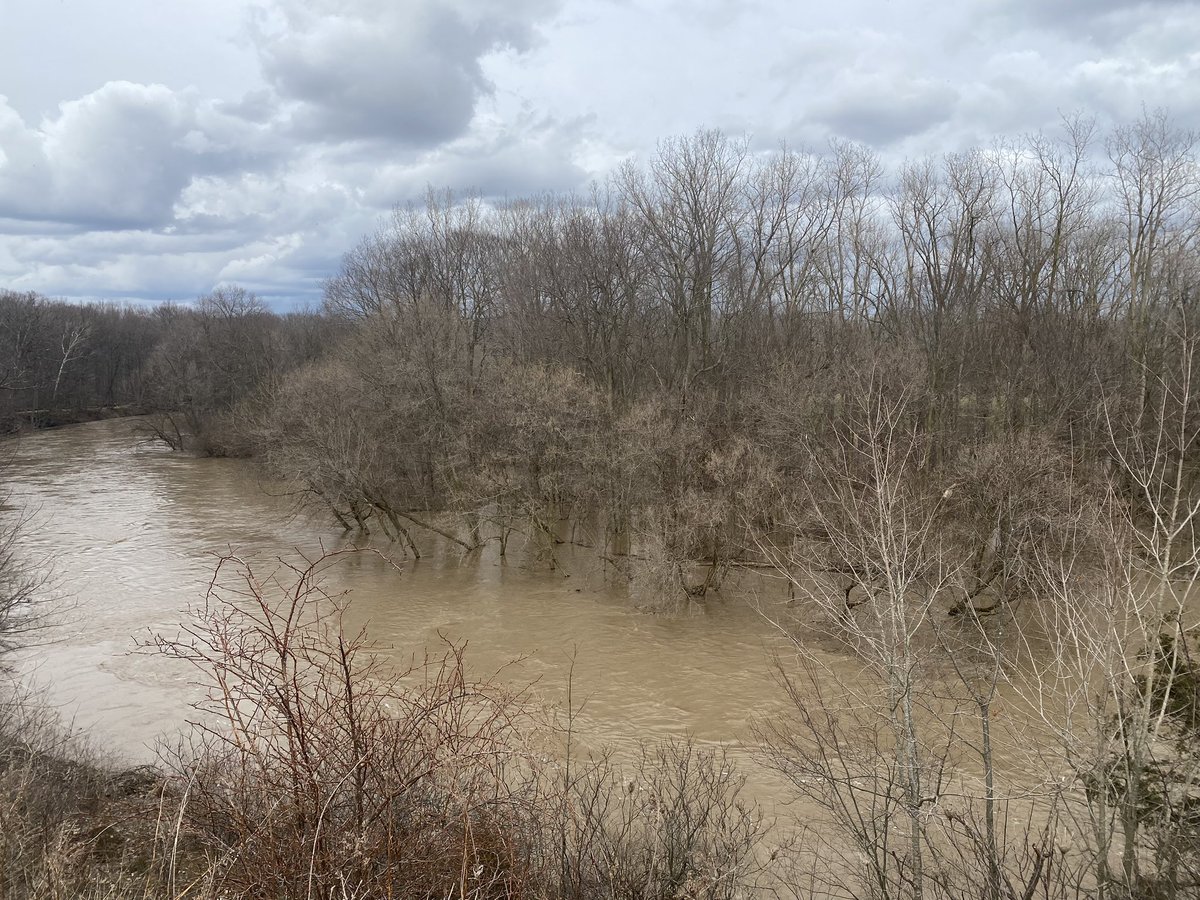 My beloved #ShiawasseeRiver is flooding after a cold spring with lots of rain. Floodplains being replenished and sewer systems overflowing with stormwater.