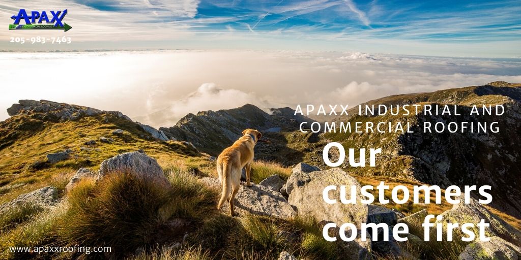 We at #APAXX Roofing believe in the importance of excellent #customerservice. We'll work and lead with honesty, accountability and responsibility. 

Call us. 205-983-7463 
apaxxroofing.com 

#commercialroofers #industrialroofing #commercialroofing