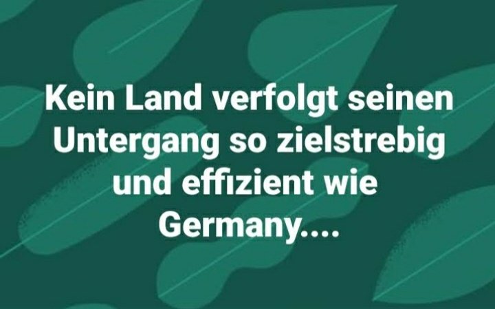 Feuerkeimer tweet media