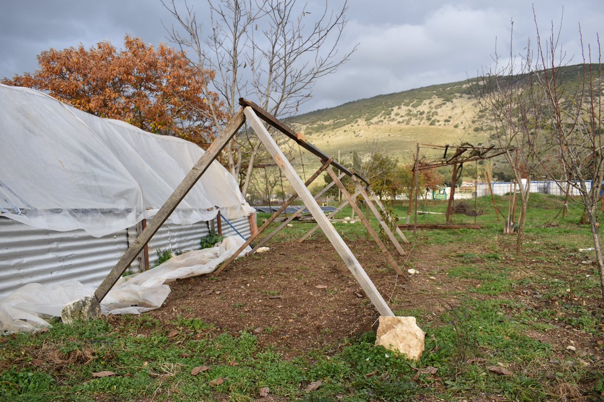 vecillaura's tweet photo. hola gente de twitter, hoy vengo a hablar de https://t.co/ZUWcc5CsgG, un Work Space que se encuentra en Katsikas, al norte de Grecia y donde llevo colaborando y viviendo ya unas semanas 🌻 https://t.co/LbAefYYLjS