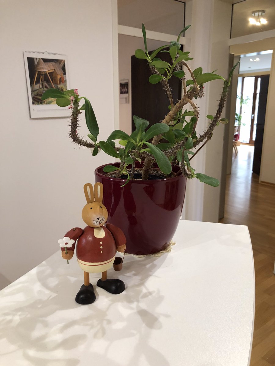 Unser Kanzlei-Osterhase sucht… nein, keine Ostereier 
schaut mal hier:

linkedin.com/posts/dr-corne…