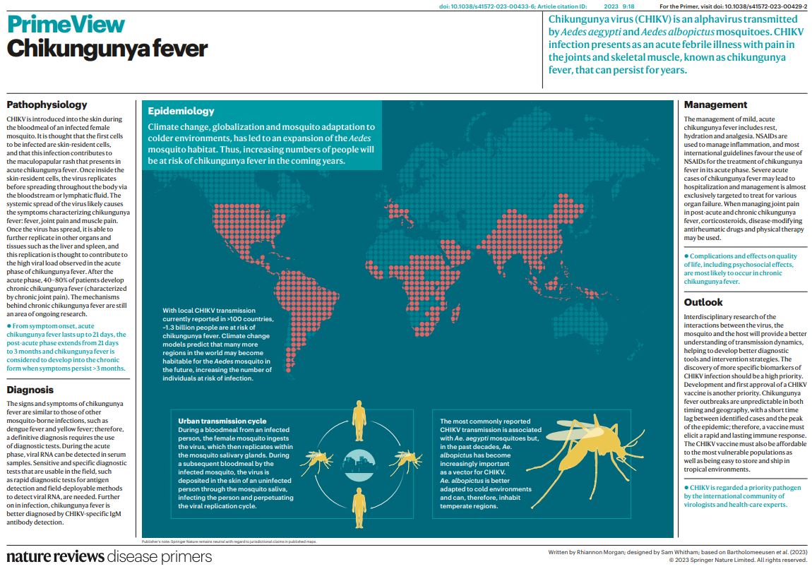 A world map highlights the global spread of chikungunya virus with key information on transmission cycles, climate impact, and mosquito control strategies for preventing outbreaks.