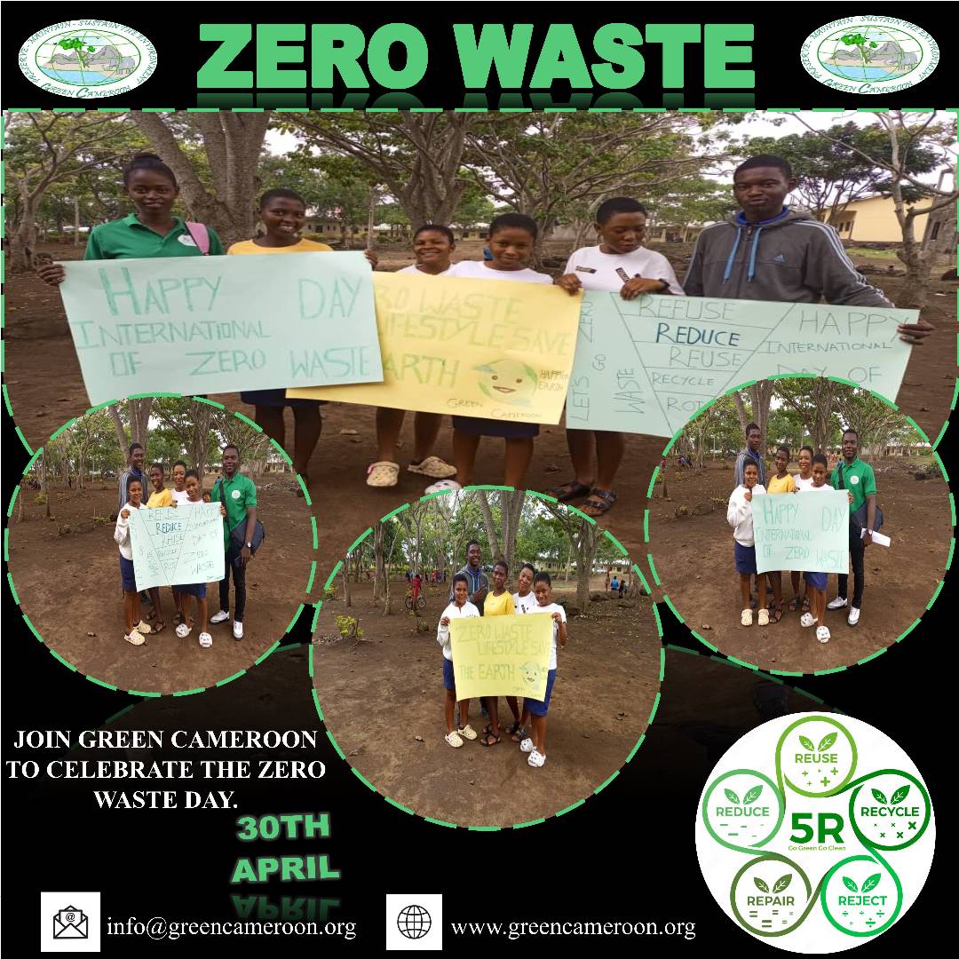 Green Cameroon tweet media
