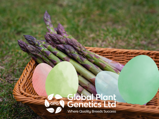 globalplantgen's tweet photo. Everyone at Global Plant Genetics Ltd wants to wish you all a great Easter weekend.

We will be closed until the 11th of April, after which we will respond again to all your queries.

#EasterHolidays #Easter #Horticulture #Global #Plant #Genetics https://t.co/VfDnuJZV4z