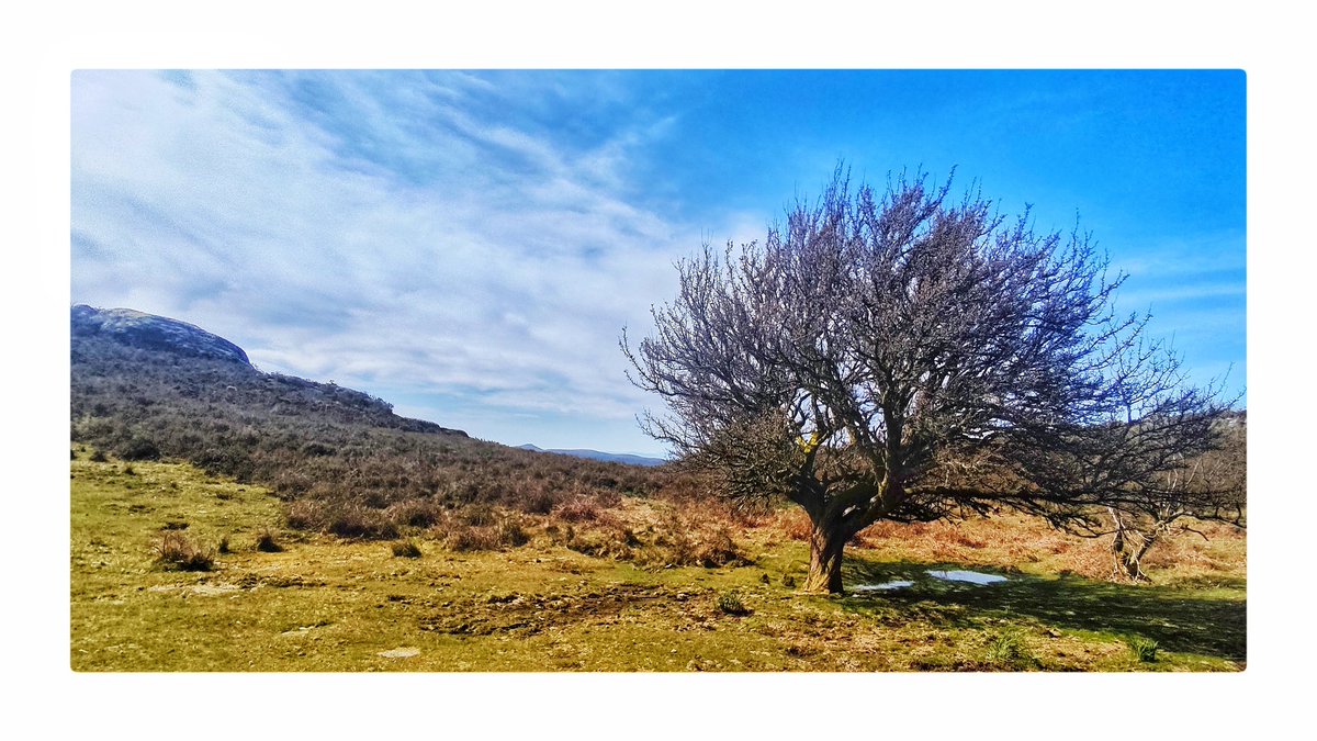 Paisaxes para o alma
#Suído