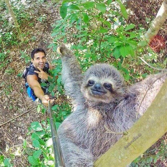 "I'm totally against the selfie-stick but every now and then an exception comes along."

Credit: AndrewBloch