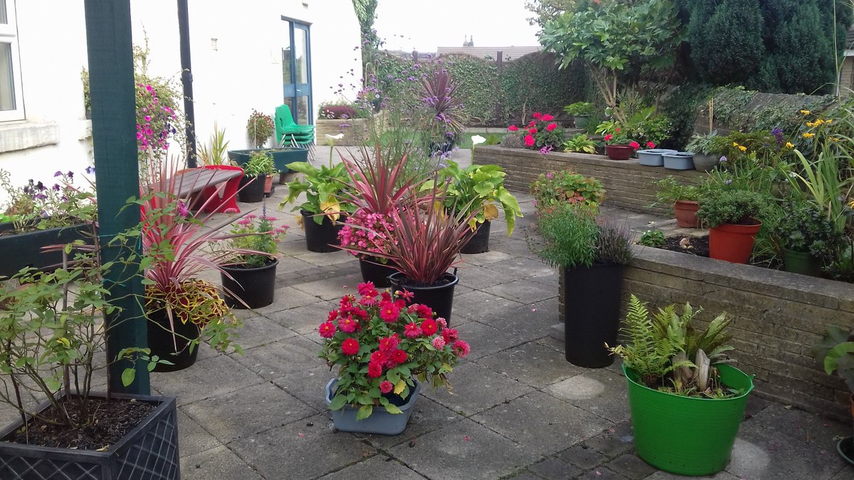 alisonbeach611's tweet image. Coming to a close of 2019 best bits as the seasons change and gardens start to shut down.  The sun no longer reaches the garden and the shadows lengthen.  But it had been a good year.   #LL2019