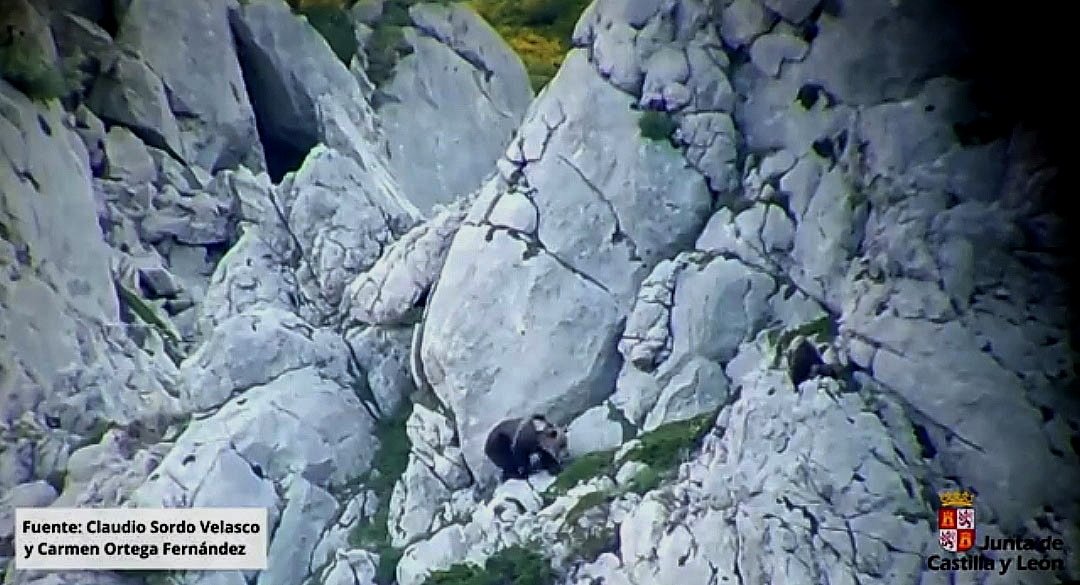 Cervera de Pisuerga tweet media