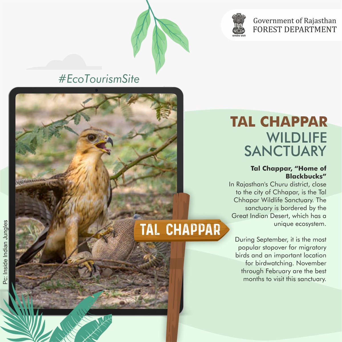 ForestRajasthan's tweet photo. TAL CHAPPAR WILDLIFE SANCTUARY
#talchapparwildlifesanctuary #talchappar #ecotourismsite #faunaofrajasthan #floraofrajasthan #rajasthanwildlife #wildlifeofrajasthan #rajasthan #wildlifeconservation #wildlife #wildlifeplanet
@incredibleindia @WCSIndia @TheWCS @Savi_IFS https://t.co/pW5RfuRsV9