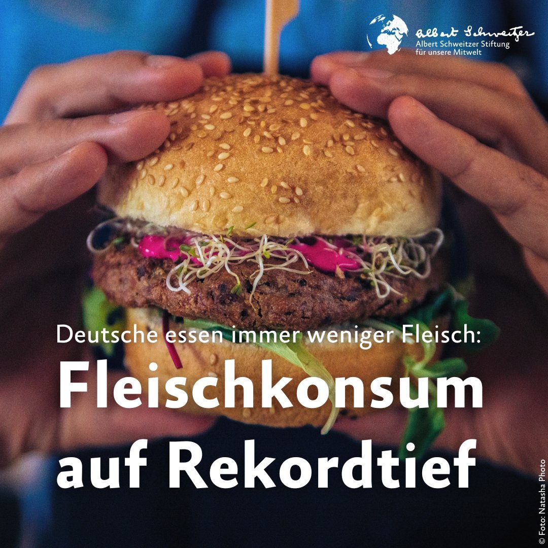 Albert Schweitzer Stiftung für unsere Mitwelt tweet media