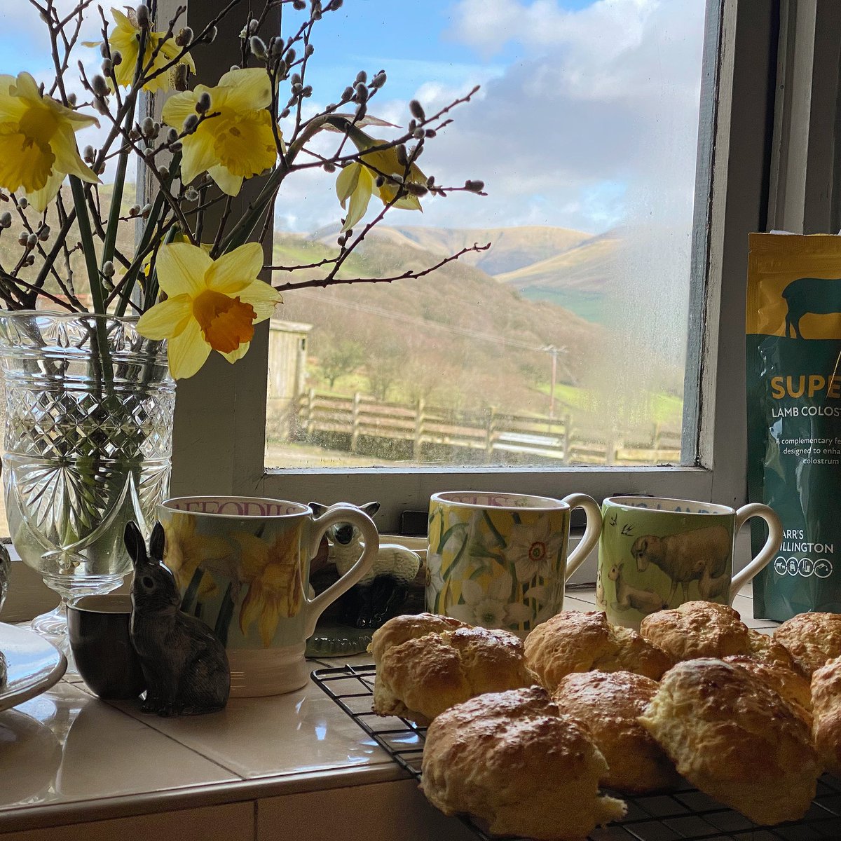 Alison O’Neill ~ Shepherdess tweet media