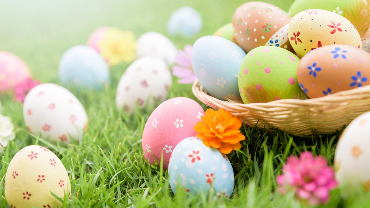 Logistics_LLA tweet media