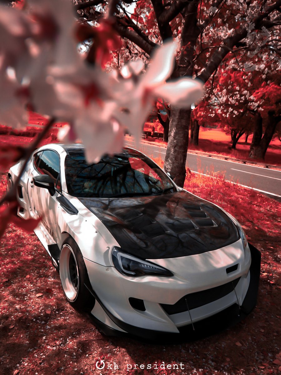 oka_president's tweet photo. 「紅桜」
#花 #桜 #cherryblossom
#photography #jdm #brz #passwordjdm #gt86 #stance #widebody #rocketbunny #pandem https://t.co/RPVJm575Sn