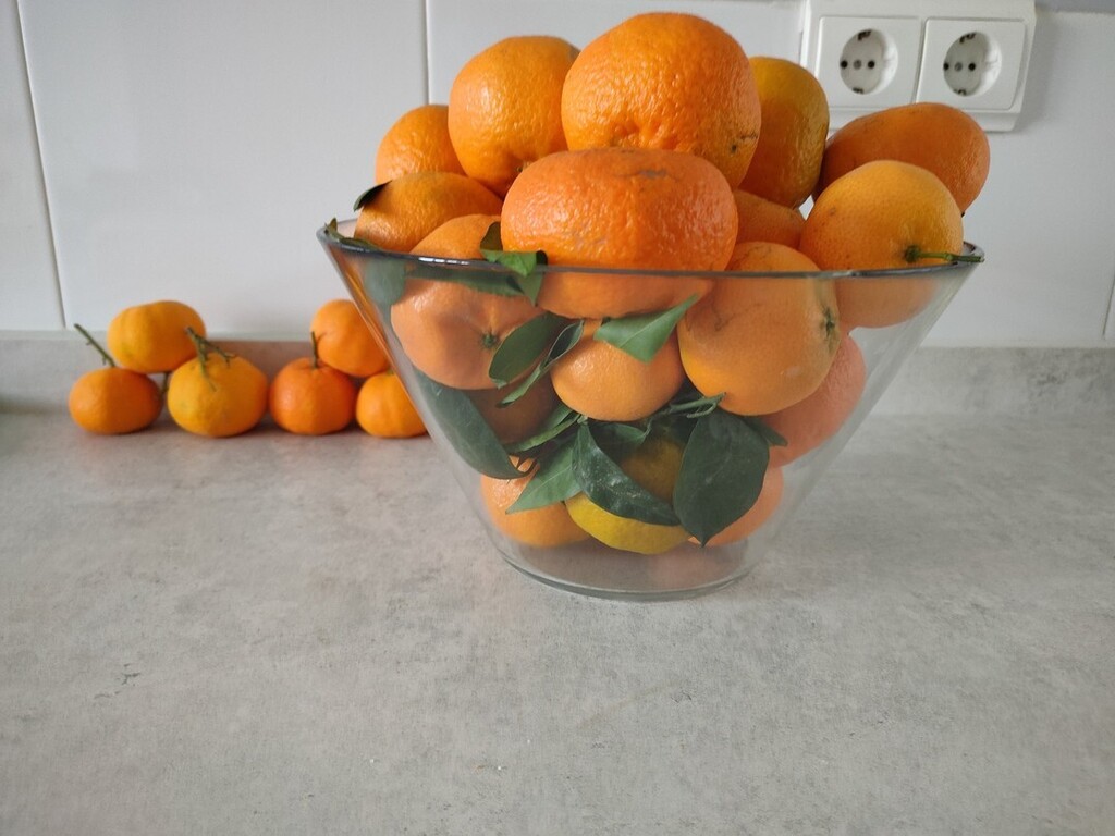 techandlex's tweet photo. Today is the World Health Day and we are fortunate to already have experts in emotional support in our team,🐱🐱 but food is also important, that’s why our offices are always well stocked to have healthy breakfasts with seasonal fruits.

Motorcillo is … https://t.co/l3bMwa2sZe https://t.co/dP0CUpJOOH