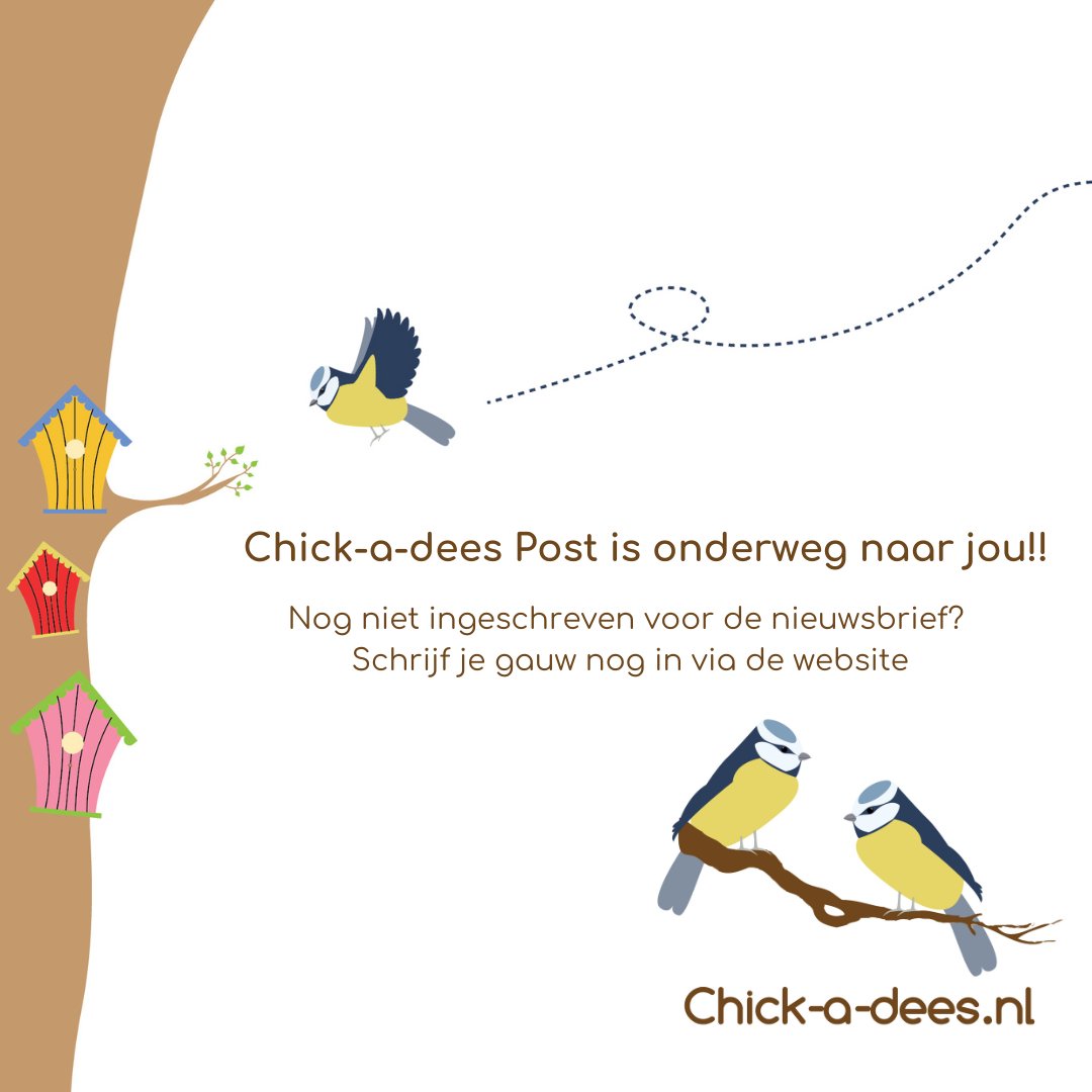 Vandaag wordt Chick-a-dees Post weer verstuurd. Hou je inbox in de gaten voor leuke tips om er op uit te gaan én mijn top 10 voor kamperen met kinderen. Ben je nog niet ingeschreven, ga dan naar de website en laat jouw e-mail adres achter. Dan kom je op de viplijst 😊 #kamperen