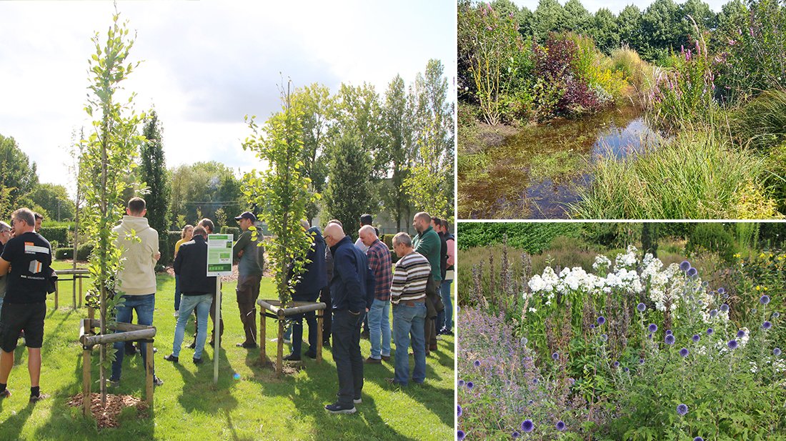 Viaverda_be's tweet photo. 🌲🌻🌳VILT - Nieuw kenniscentrum GreenSupport (https://t.co/PwxlL13mPd): Vlaamse regering keurde subsidie voor #GreenSupport goed. Zo kan PCS een #kenniscentrum uitbouwen voor #groenvoorzieners en realiseren we een klimaatbestendige biodiverse #omgeving. https://t.co/XIvZpvbyTz https://t.co/DY8HIHyz5E