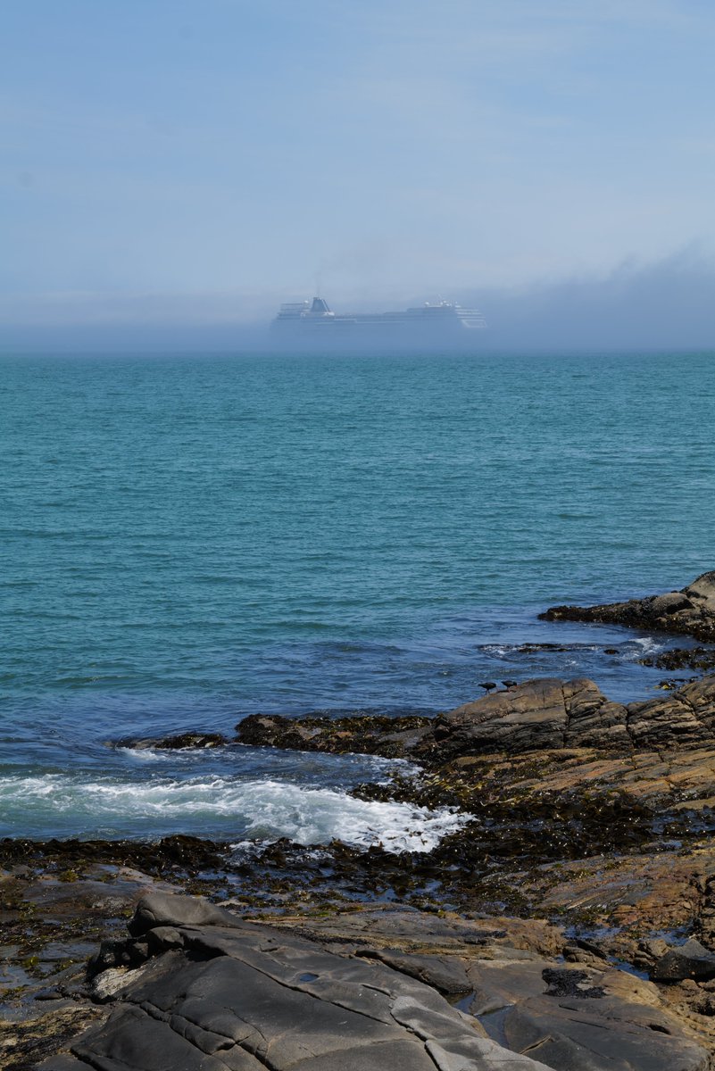 Writing about my ancestors getting to Namibia on postal steamers in 1901. This was from my trip in January '23. Fog surrounding a cruise ship in Lüderitz harbour. I did delight in imagining the panic of the passengers. Sadly it cleared within half an hour.