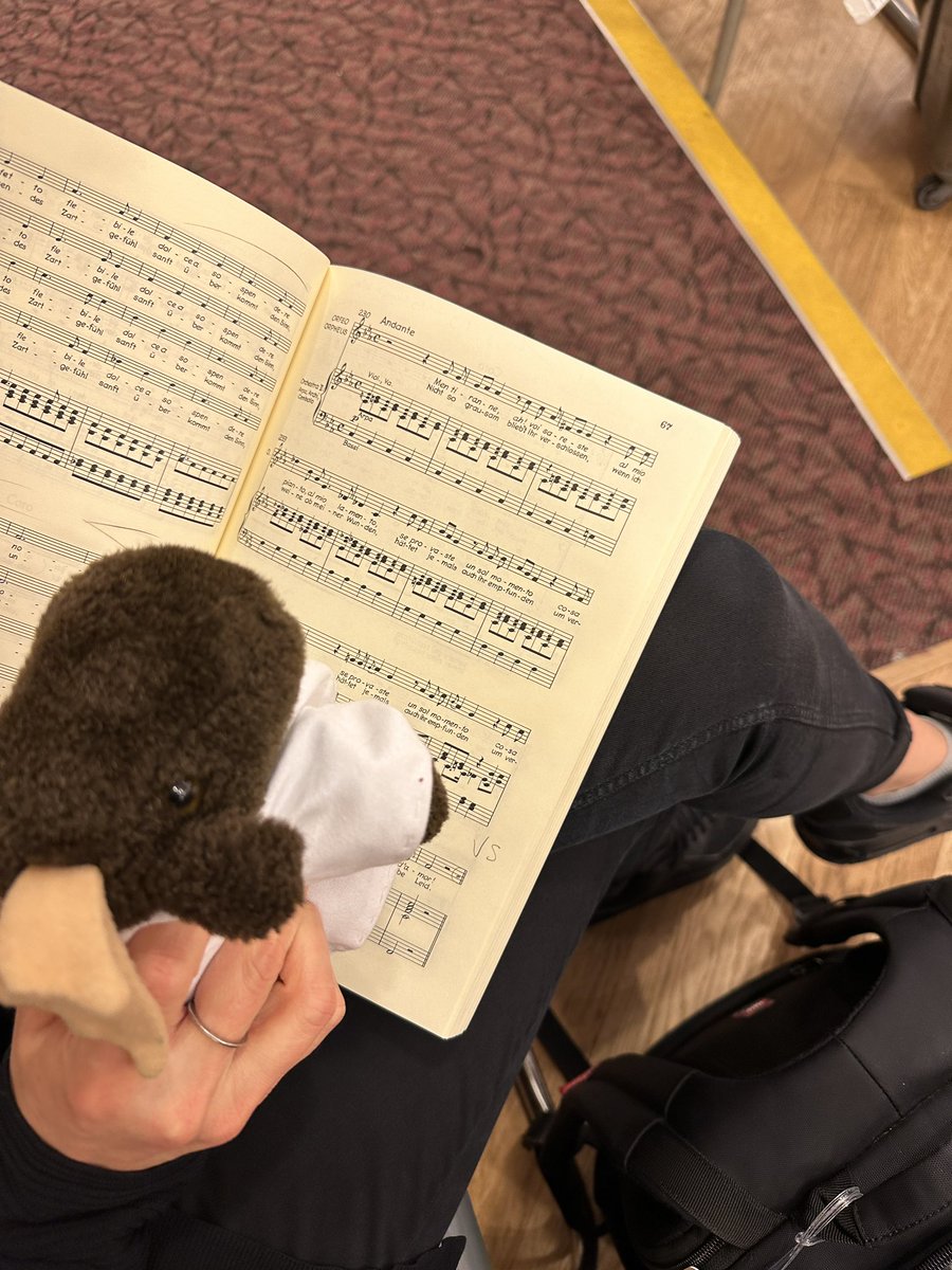 Libera Moose tweet media