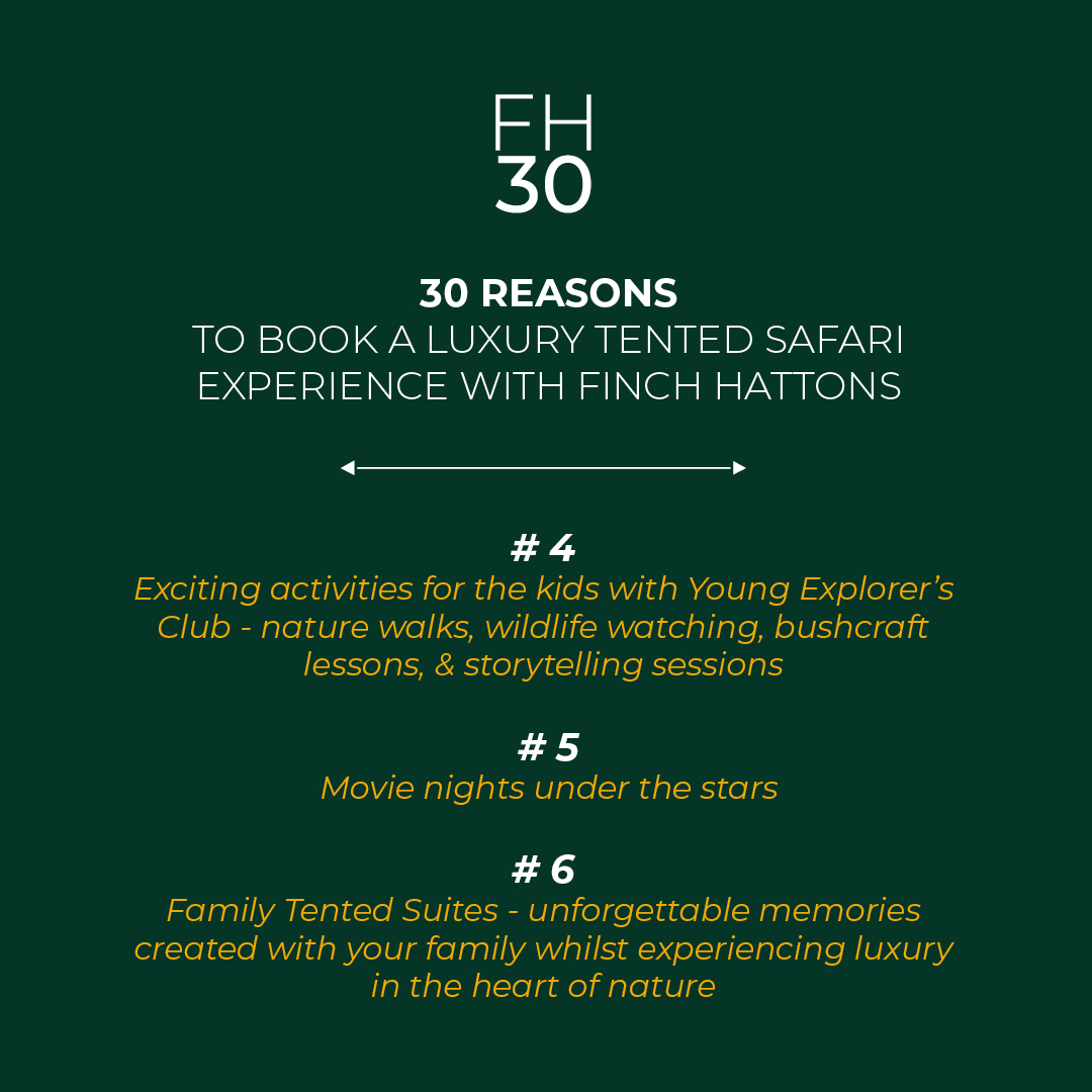 finchhattons's tweet photo. Our family suites provide space, comfort and luxury for families with kids.
Your Place | Your People | Your Kenya
30 Years of Timeless Safari
https://t.co/kipDoYR8GD
#finchhattons #familysafari #africansafari #familyfuninafrica #booksafari #fh30 #30yearsofsafari https://t.co/8o4qd85k9A