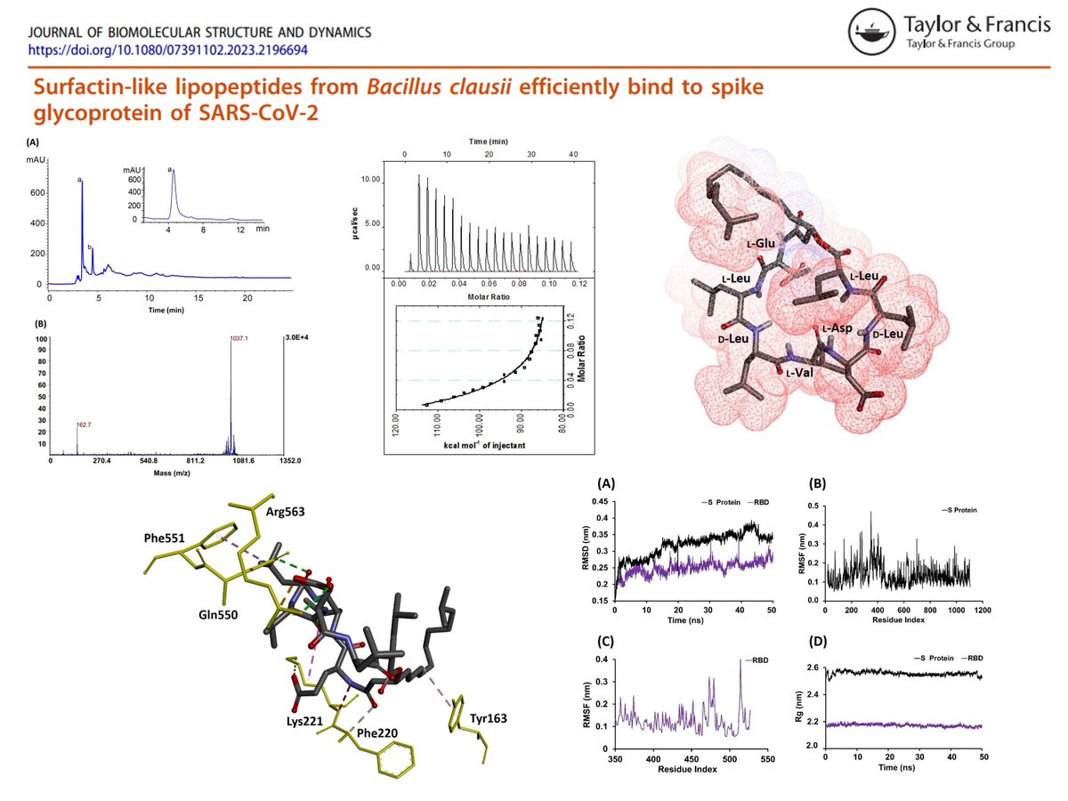 baindarap's tweet photo. I am happy to share our latest research article published in the Journal of Biomolecular Structure and Dynamics.
https://t.co/dUoBl8UbSZ
Thank you @DinataRoy1 and Dr. Santi M Mandal
#research #Publication #science #sciencecommunication #surfactant #coronavirus2020 #SARSCoV2 https://t.co/mkvfv7z2Fo