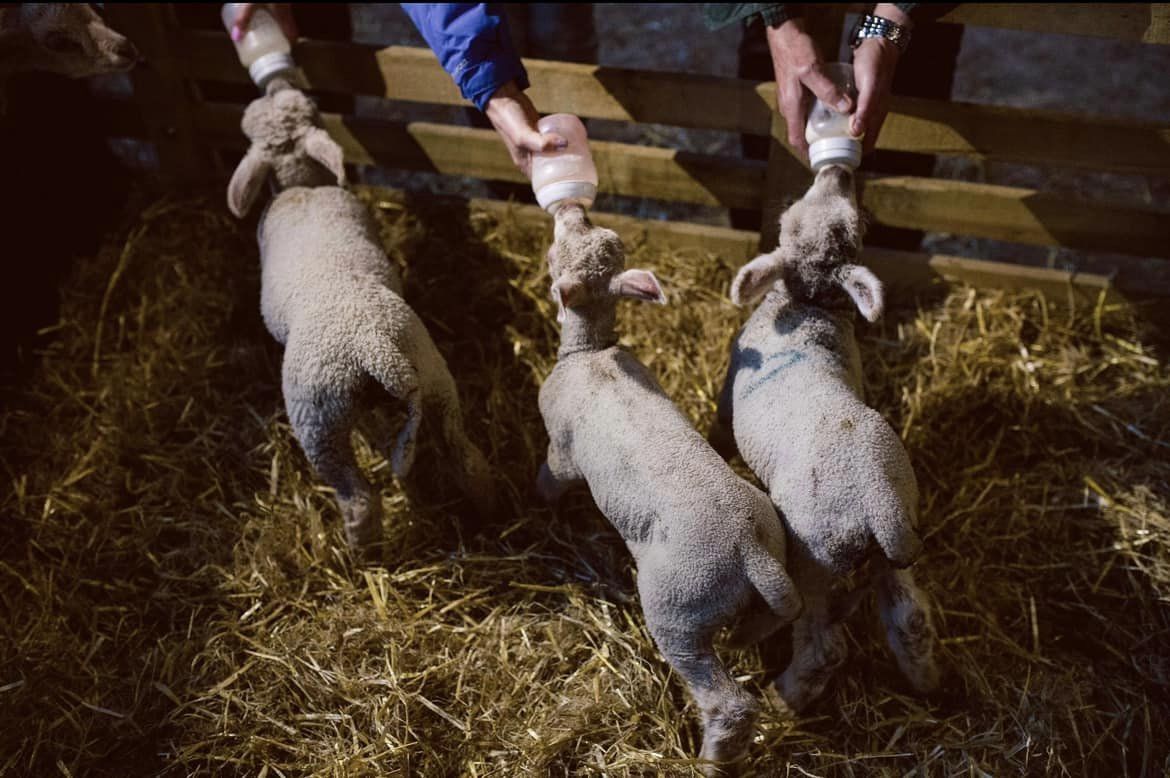 University Hospitals Sussex tweet media