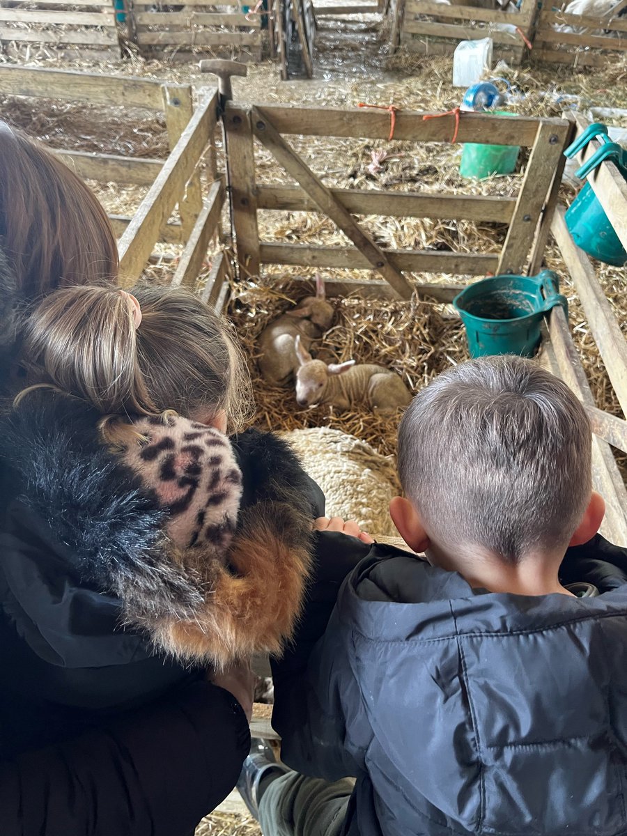 University Hospitals Sussex tweet media