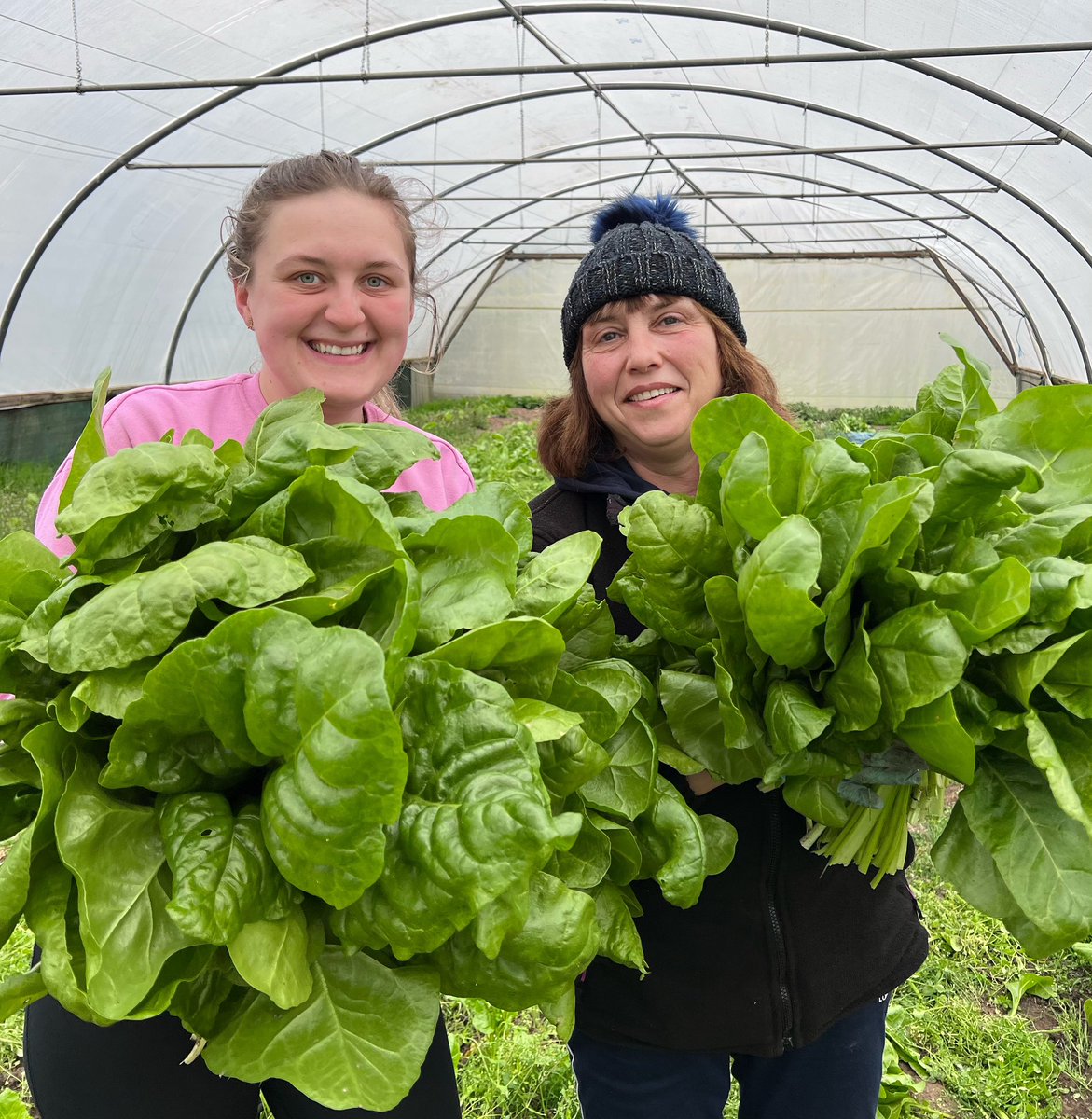 Chegworth Valley (@chegworthvalley) on Twitter photo Kasia, Adelina and the team are out harvesting this morning getting everything cut, bunched and ready for this weekends farmers markets 🌱
We are open as usual at all of our weekend markets, pop by and see us <a href="/Londonfarmers/">LondonFarmersMarkets</a> Kasia, Adelina and the team are out harvesting this morning getting everything cut, bunched and ready for this weekends farmers markets 🌱
We are open as usual at all of our weekend markets, pop by and see us <a href="/Londonfarmers/">LondonFarmersMarkets</a>