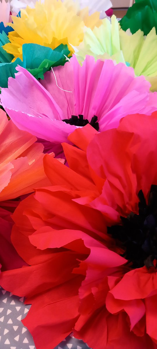 Senioriales en ville du Teich tweet media