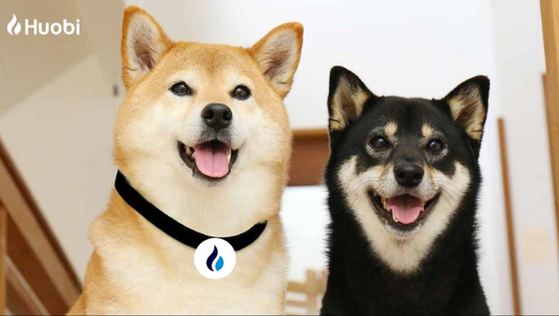 HTX_Global's tweet photo. @FlokiCeoo https://t.co/WhscDHVc5f